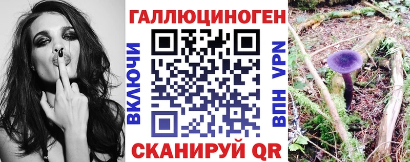 Псилоцибиновые грибы MAGIC MUSHROOMS  мега ONION  Сельцо  сколько стоит 